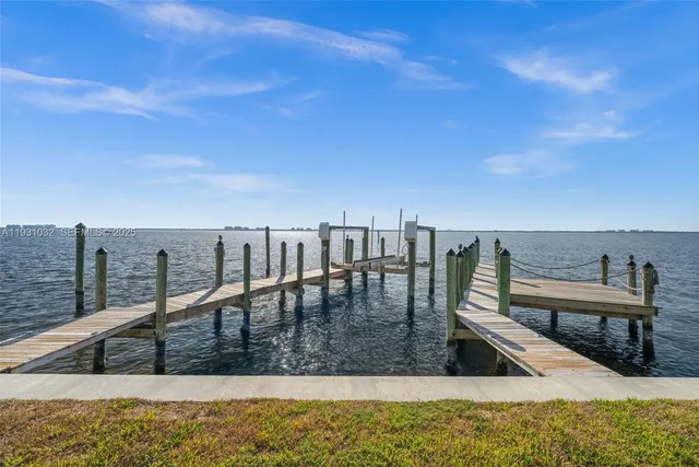 a view of a lake with a palm tree
