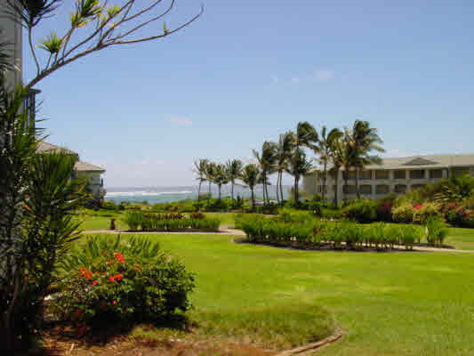 a view of a garden with a building in the background