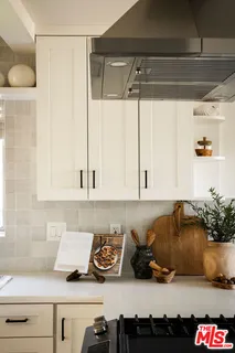 a kitchen with a sink and a potted plant