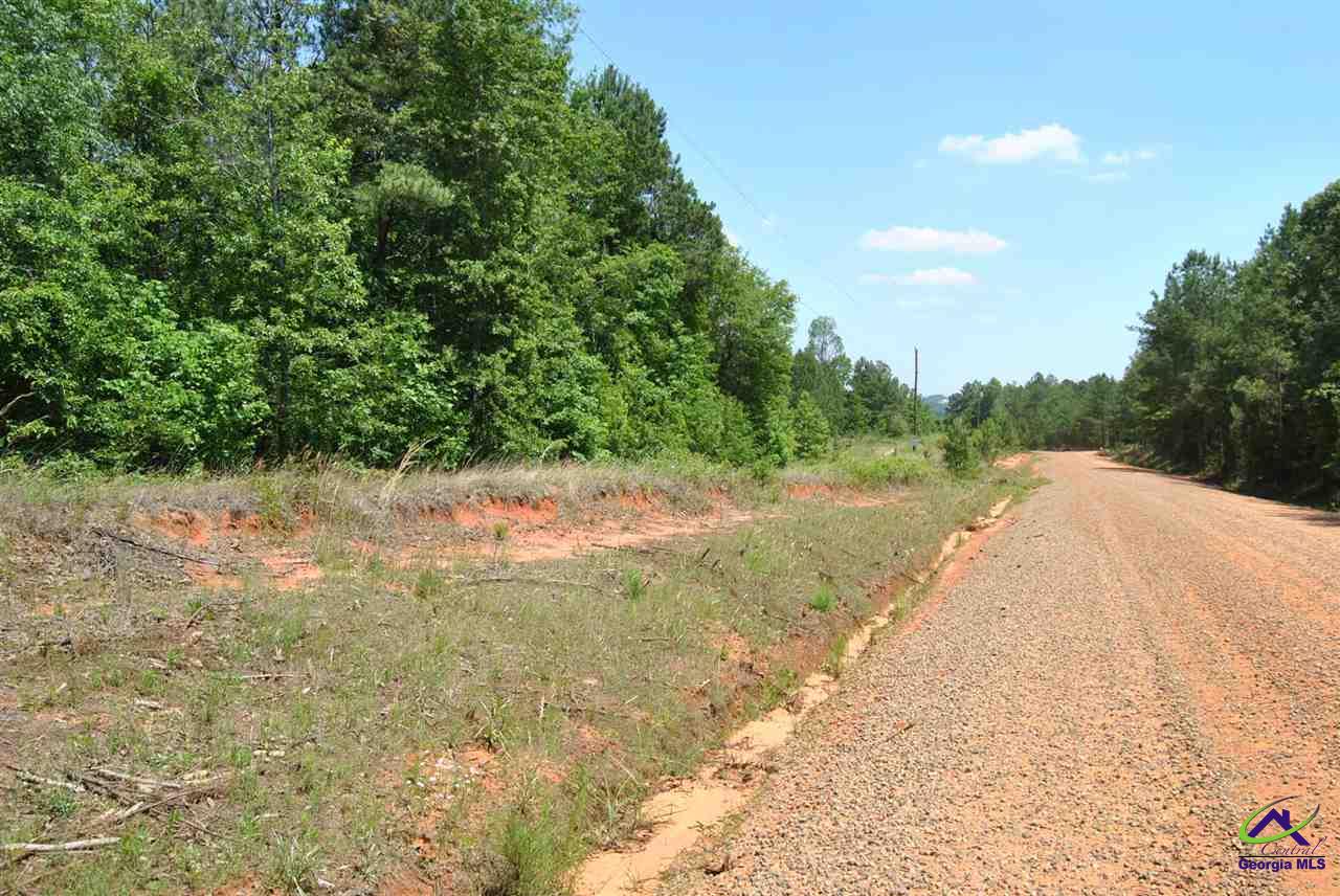 4.25-ac Chapman Road Macon, GA 31211 - Photo 1 of 1
