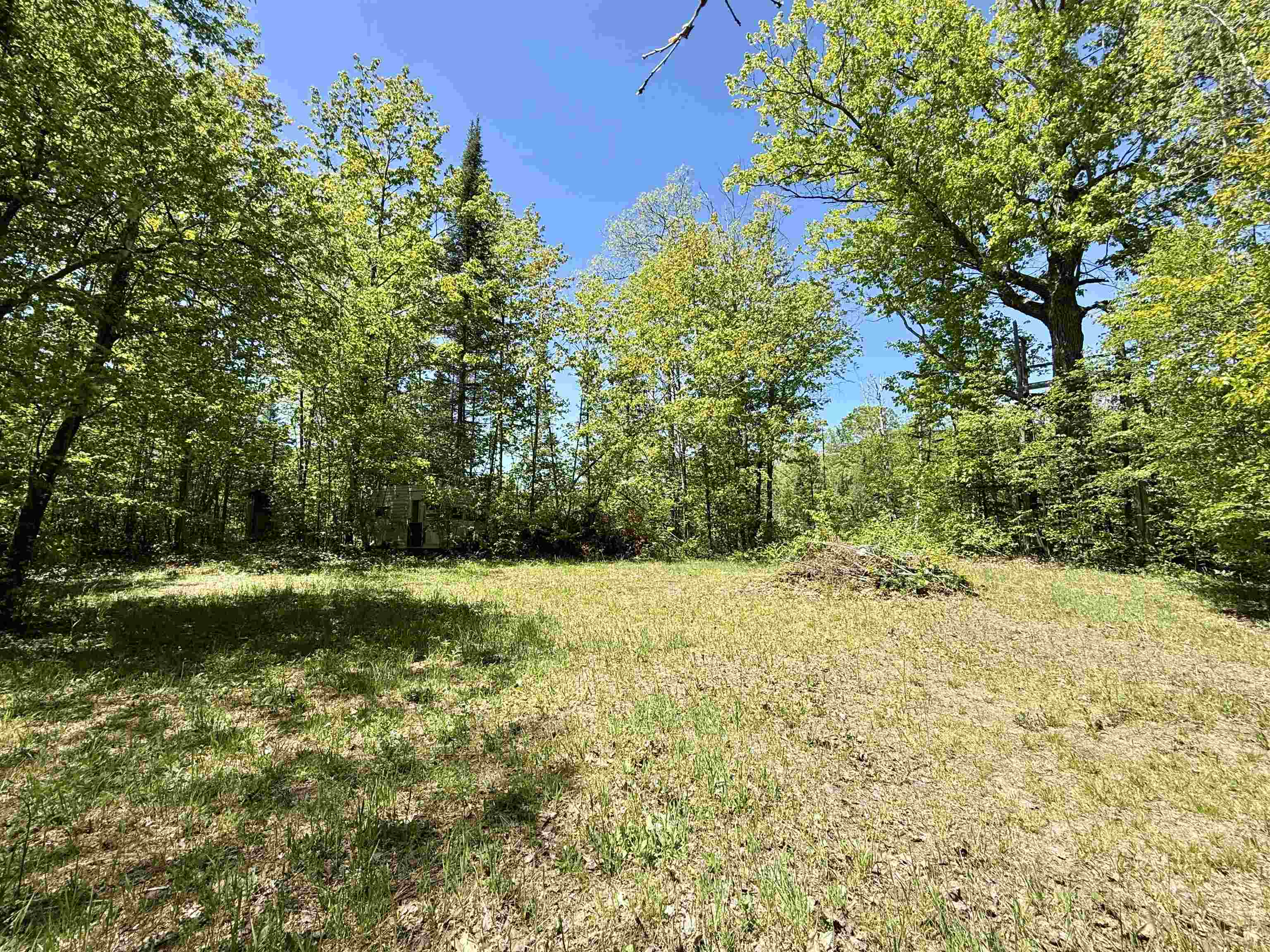 0 Ora Lake Road Hale, MI 48739 - Photo 15 of 22