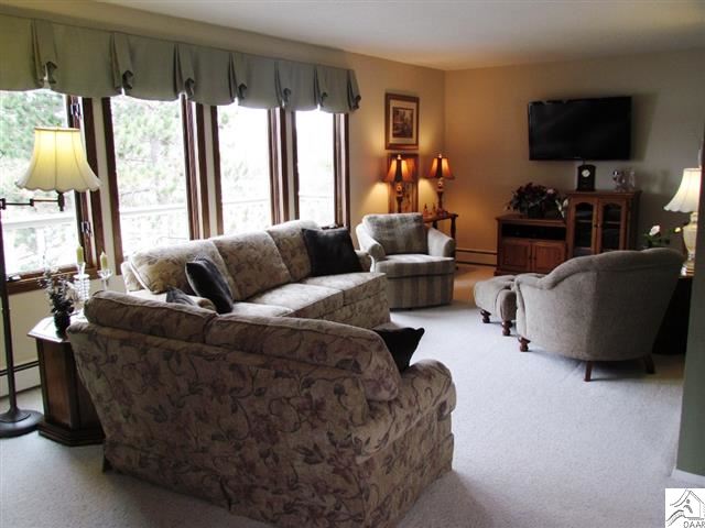 Main Level Living Room