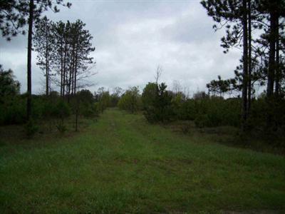 12270 Tannerville Road Kaleva, MI 49645 - Photo 1 of 2 Primary Photo