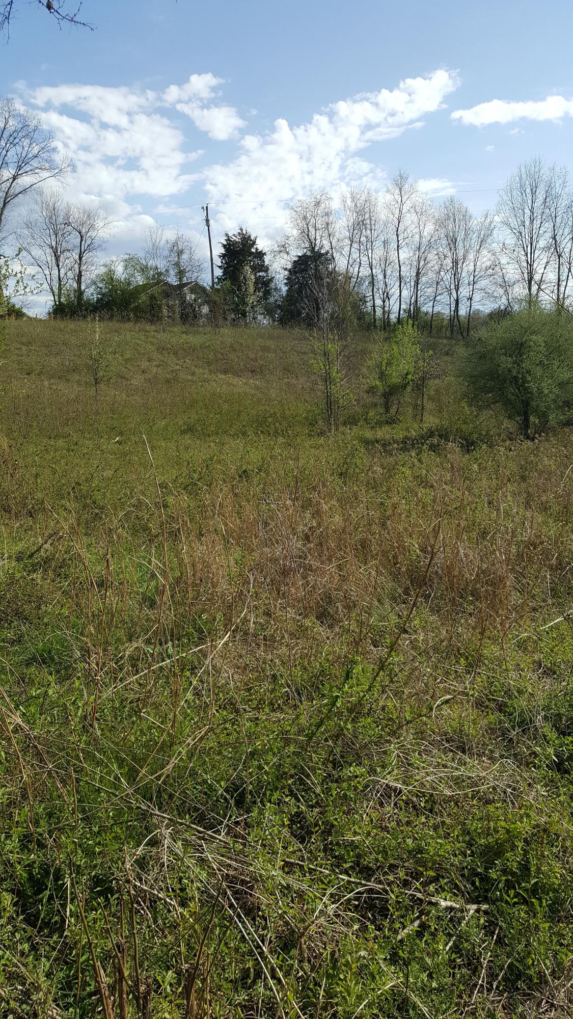 Sand Plant Road Sevierville, TN 37876 - Photo 1 of 12 14-Sand