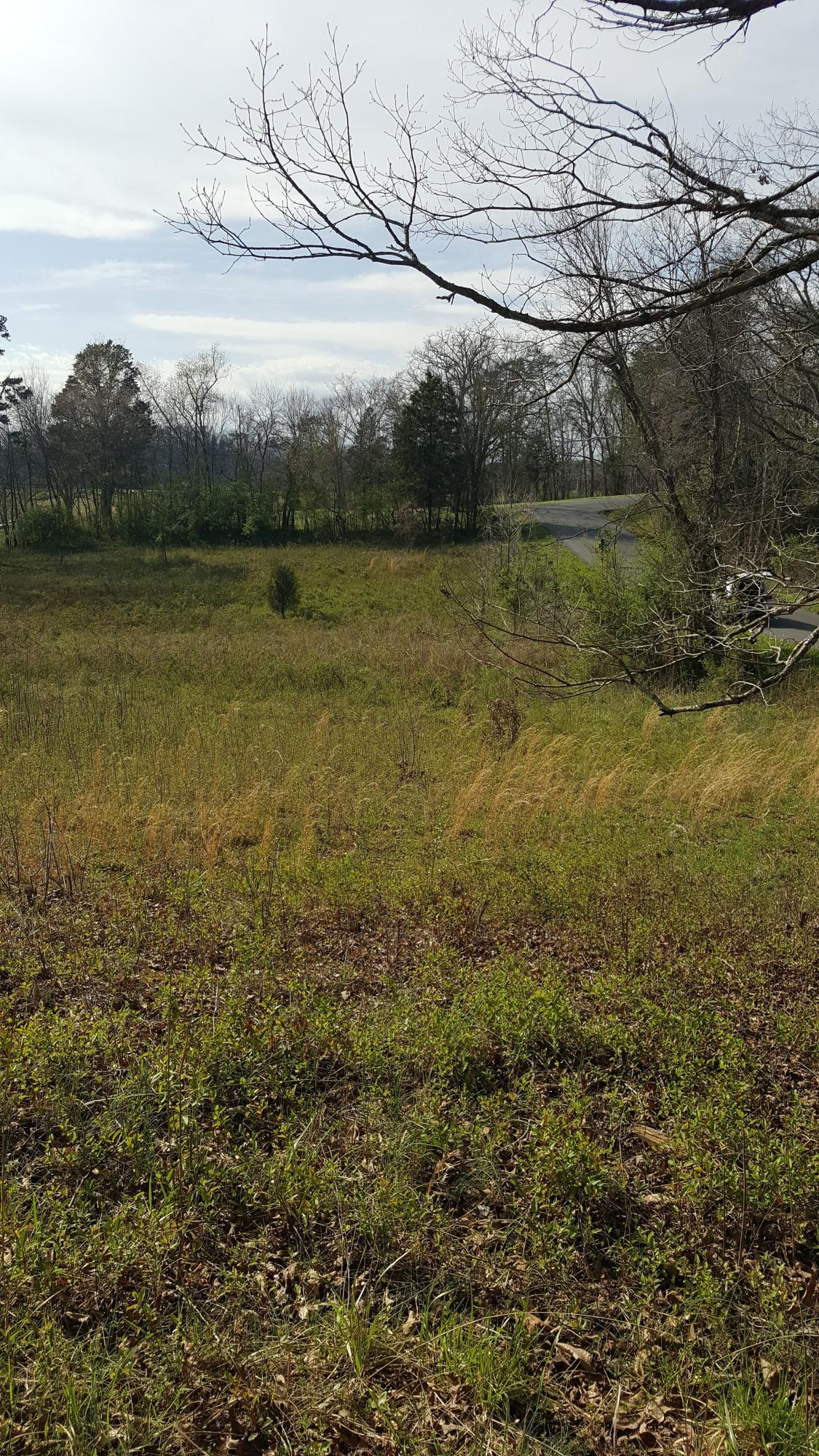 Sand Plant Road Sevierville, TN 37876 - Photo 2 of 12 1-Sand