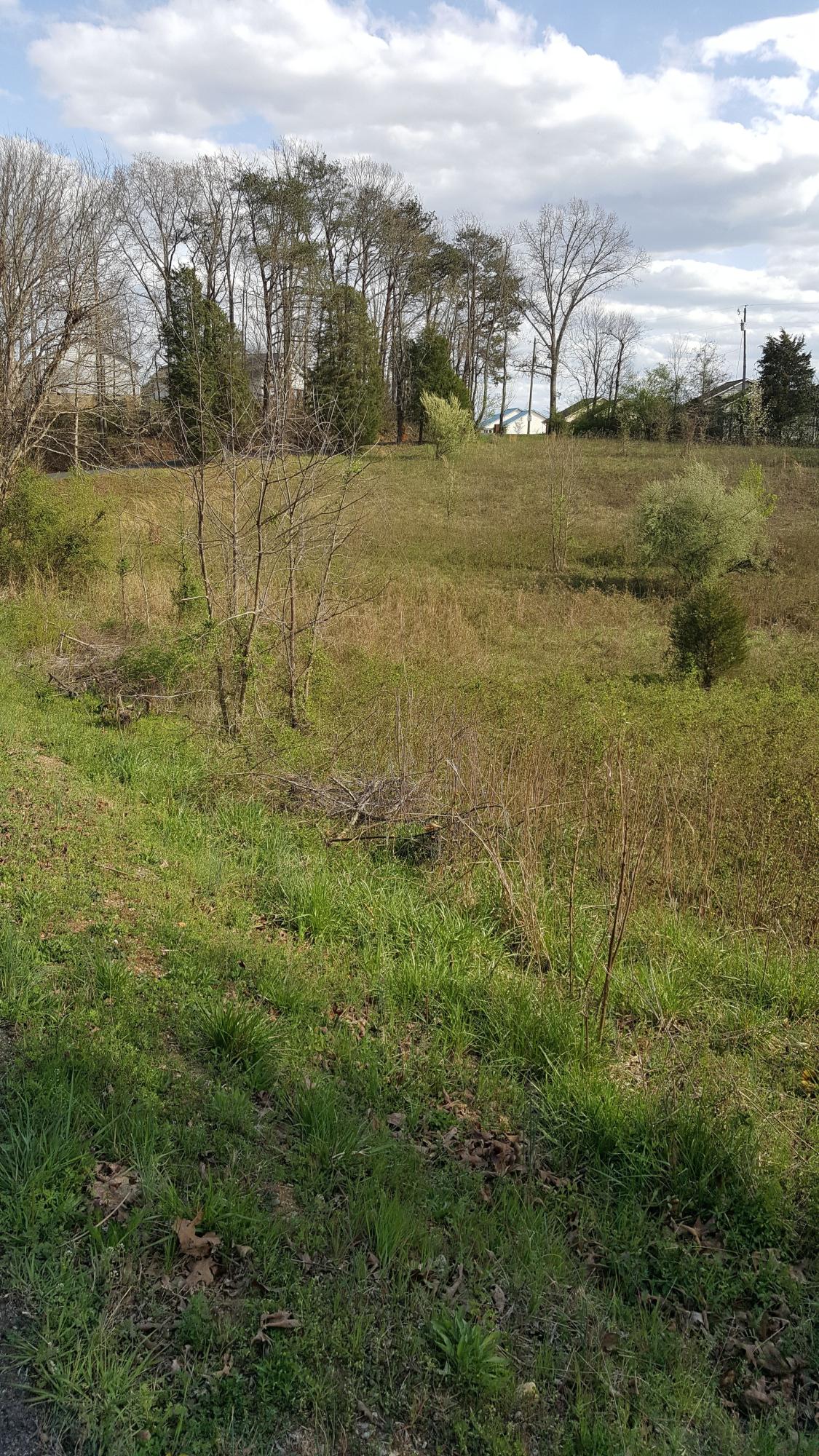 Sand Plant Road Sevierville, TN 37876 - Photo 11 of 12 11-Sand