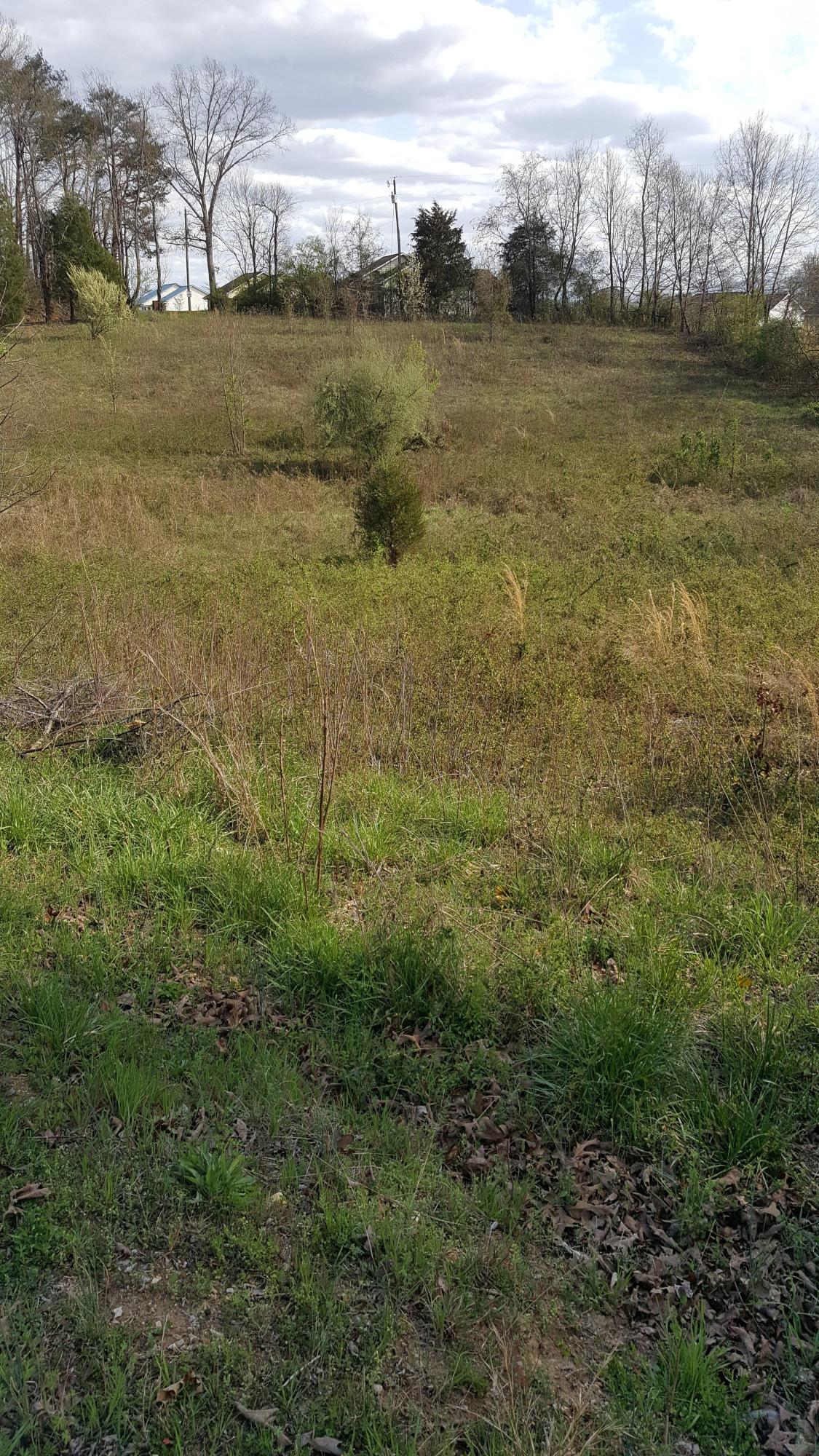 Sand Plant Road Sevierville, TN 37876 - Photo 12 of 12 12-Sand