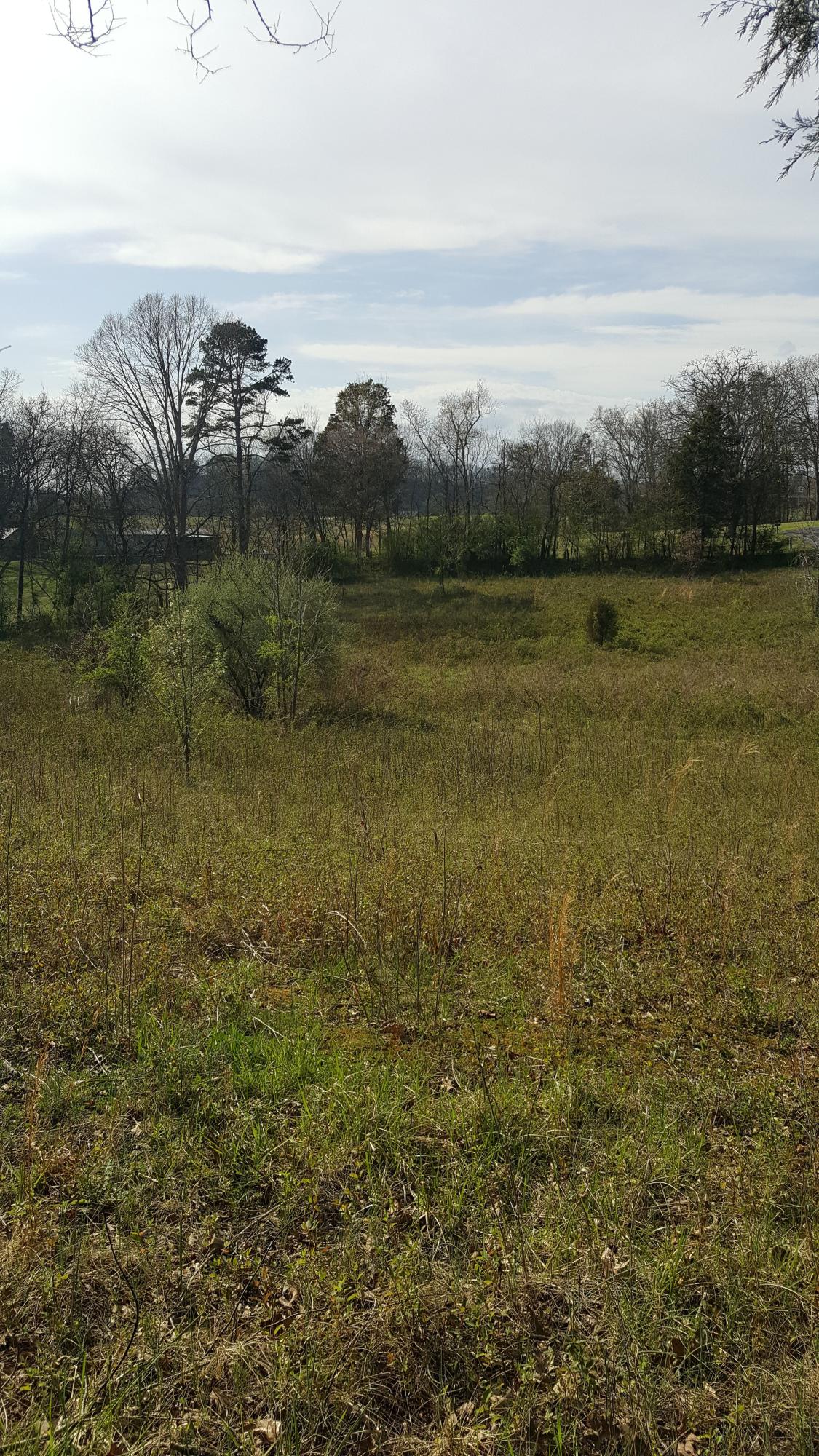Sand Plant Road Sevierville, TN 37876 - Photo 5 of 12 4-Sand