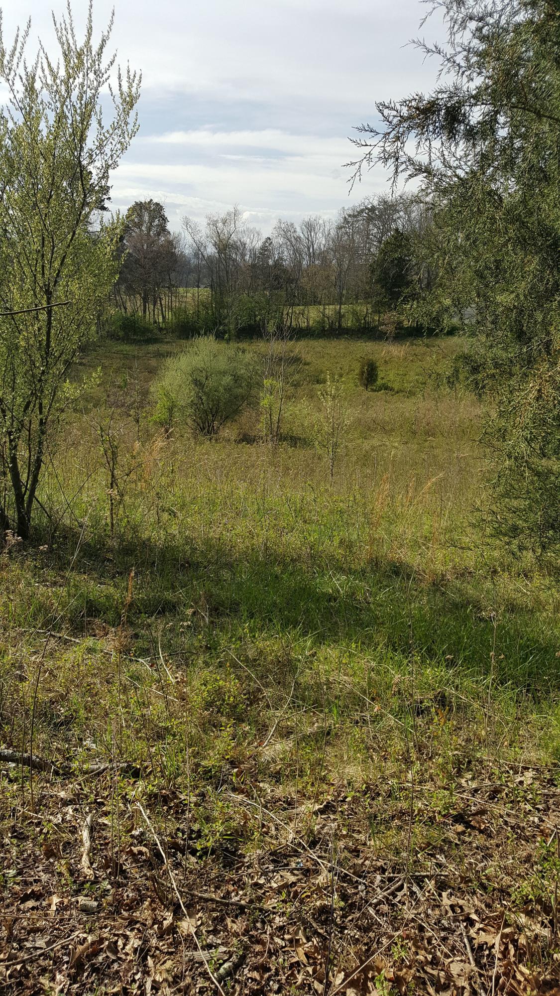 Sand Plant Road Sevierville, TN 37876 - Photo 6 of 12 5-Sand