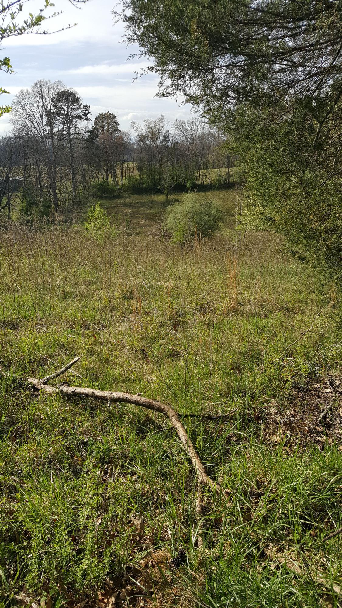 Sand Plant Road Sevierville, TN 37876 - Photo 7 of 12 6-Sand