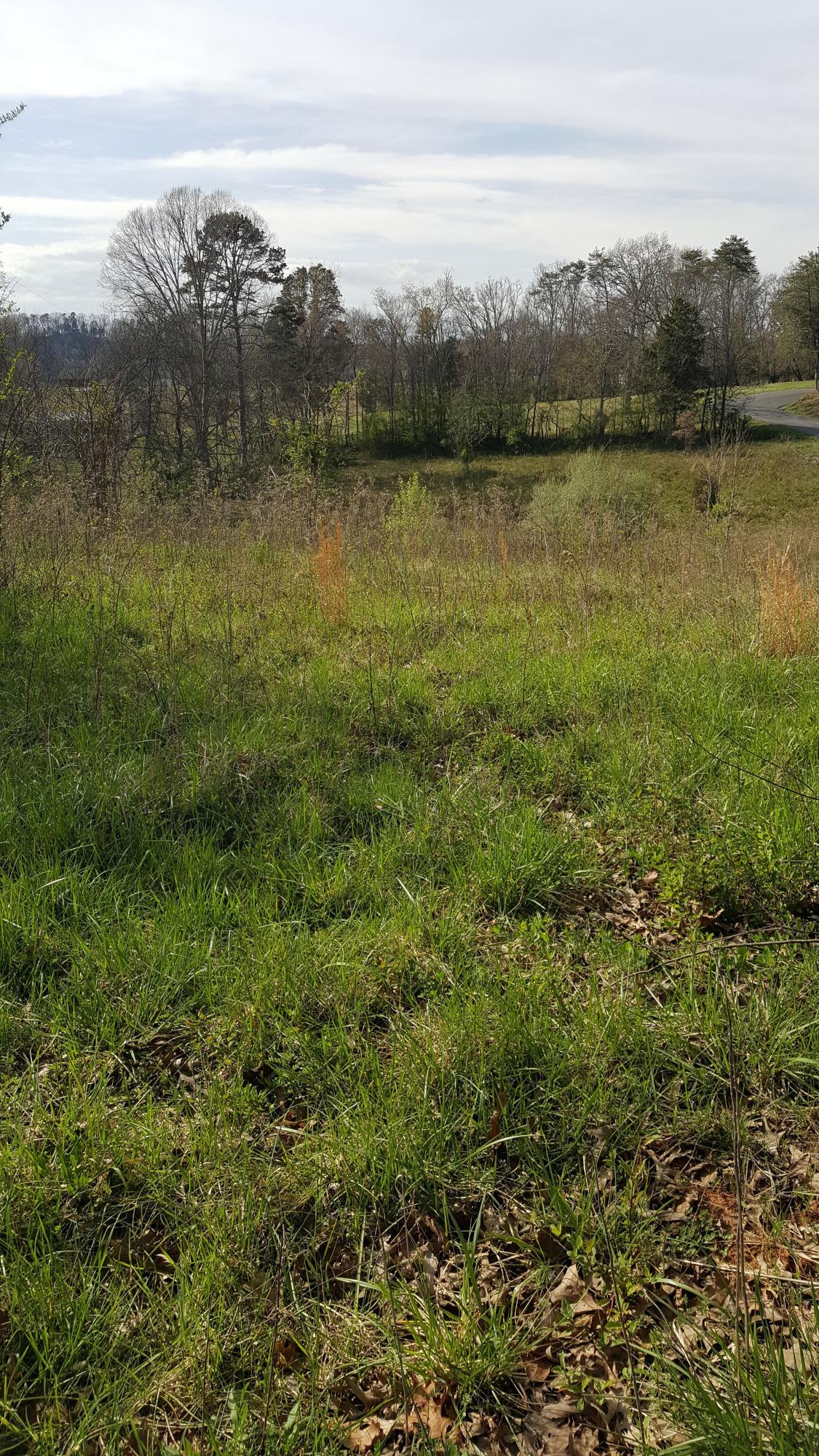 Sand Plant Road Sevierville, TN 37876 - Photo 8 of 12 8-Sand