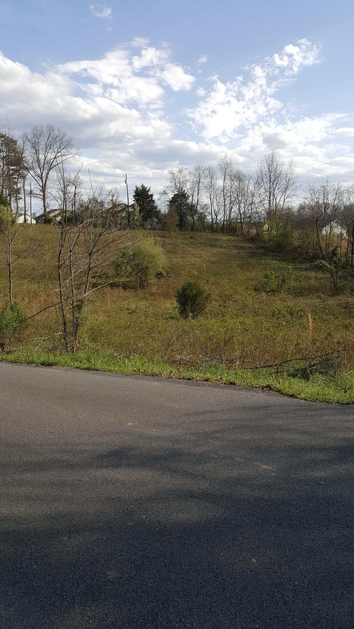 Sand Plant Road Sevierville, TN 37876 - Photo 10 of 12 10-Sand