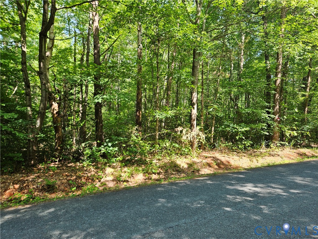 9-ac Childress Road Dillwyn, VA 23936 - Photo 4 of 8