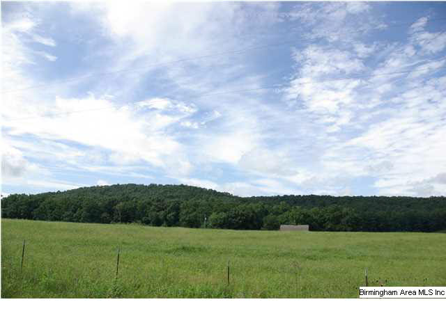 776 Robbins Branch Road, Unit 1 Altoona, AL 35952 - Photo 12 of 30 Gallery Image 12