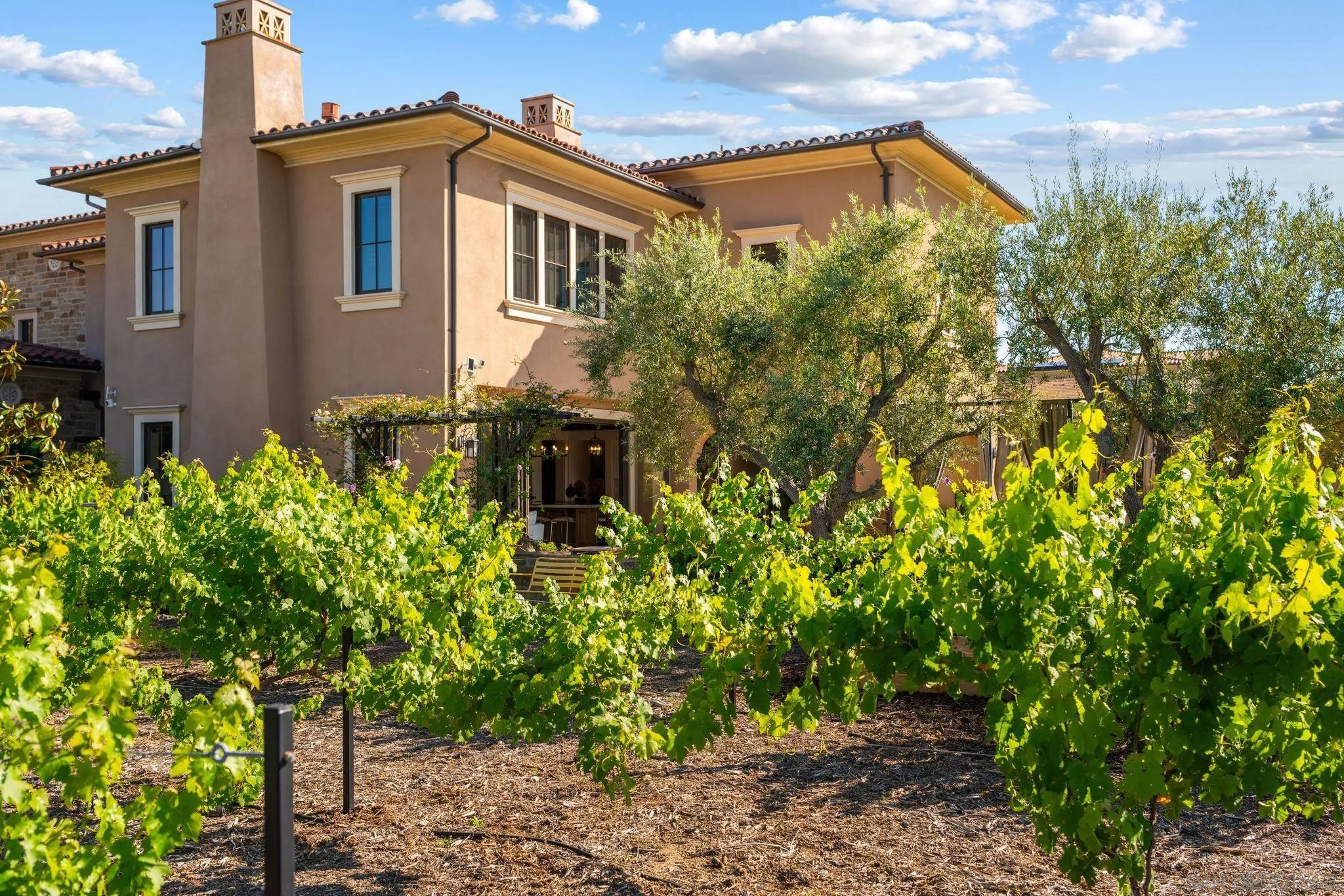 18264 Avenida Manantial Rancho Santa Fe, CA 92067 - Photo 30 of 54