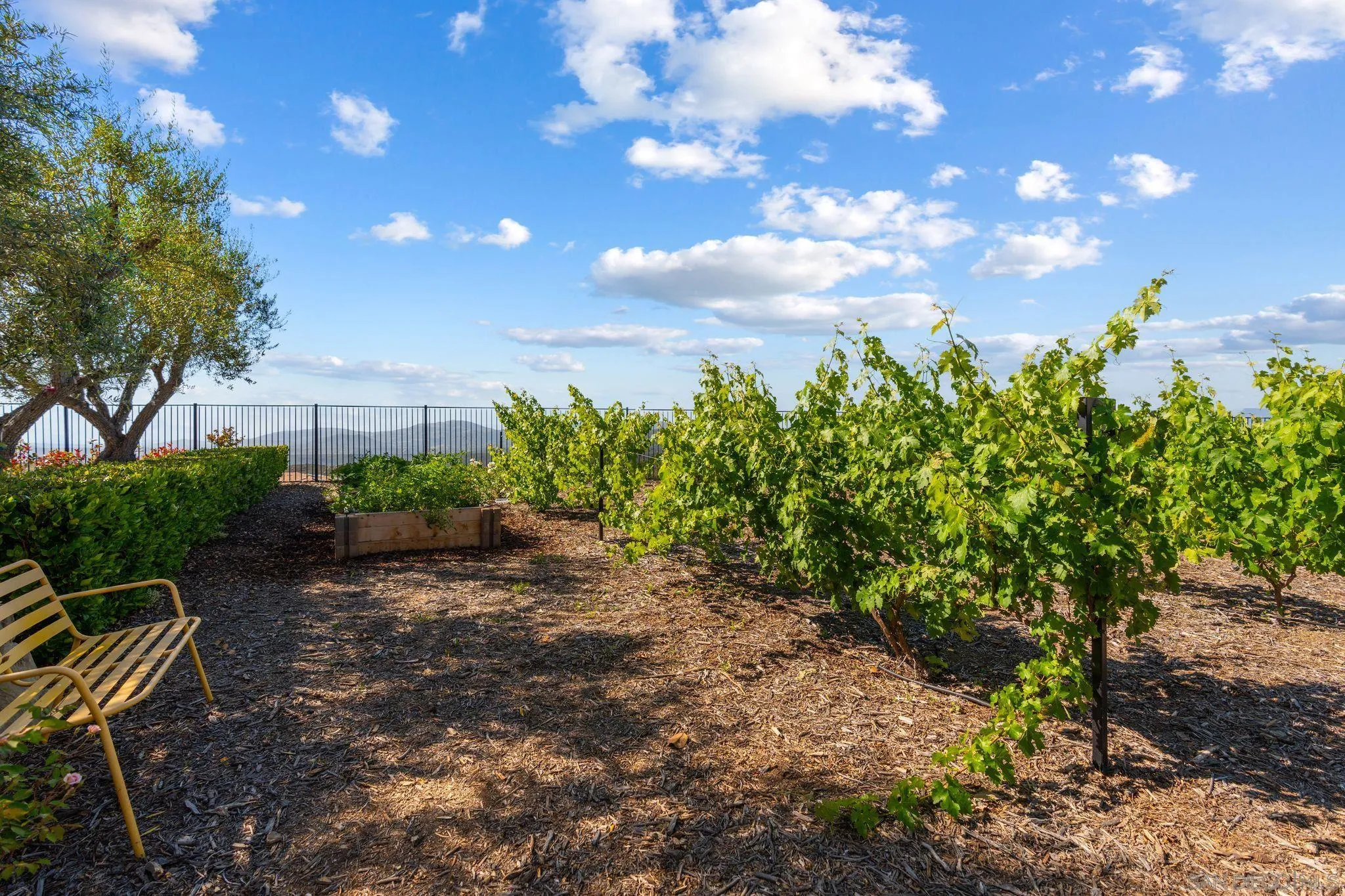 18264 Avenida Manantial Rancho Santa Fe, CA 92067 - Photo 32 of 54