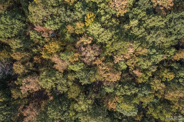 $600,000 | 2725 Madison 238, Fredericktown, MO 63645