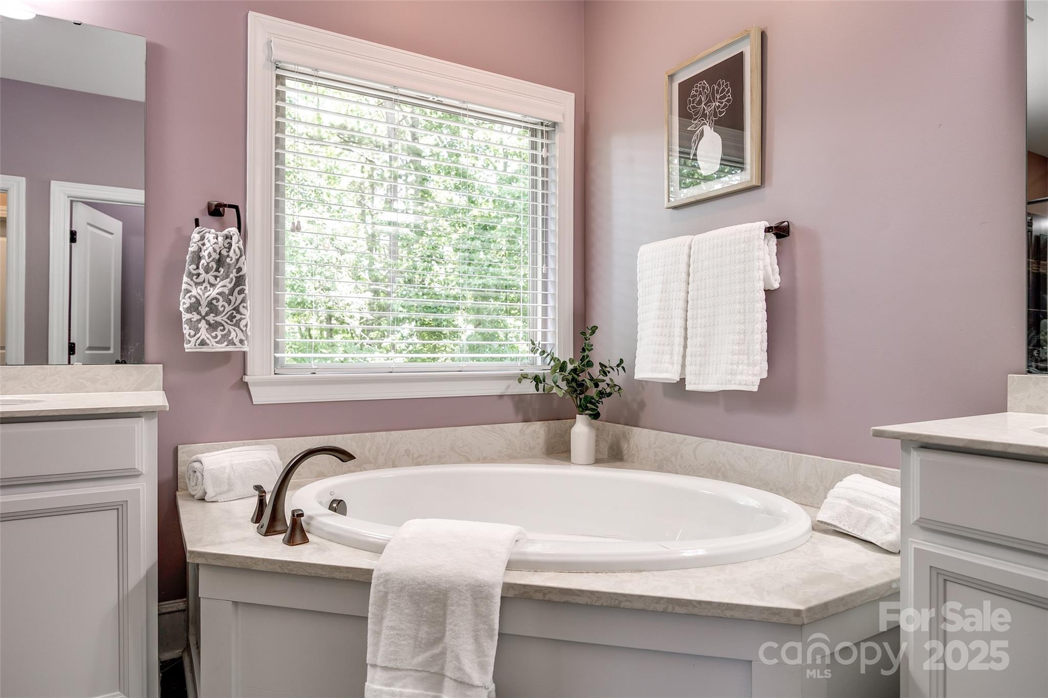 618 Chase Court Fort Mill, SC 29708 - Photo 31 of 48 a bath tub sitting next to a white sink