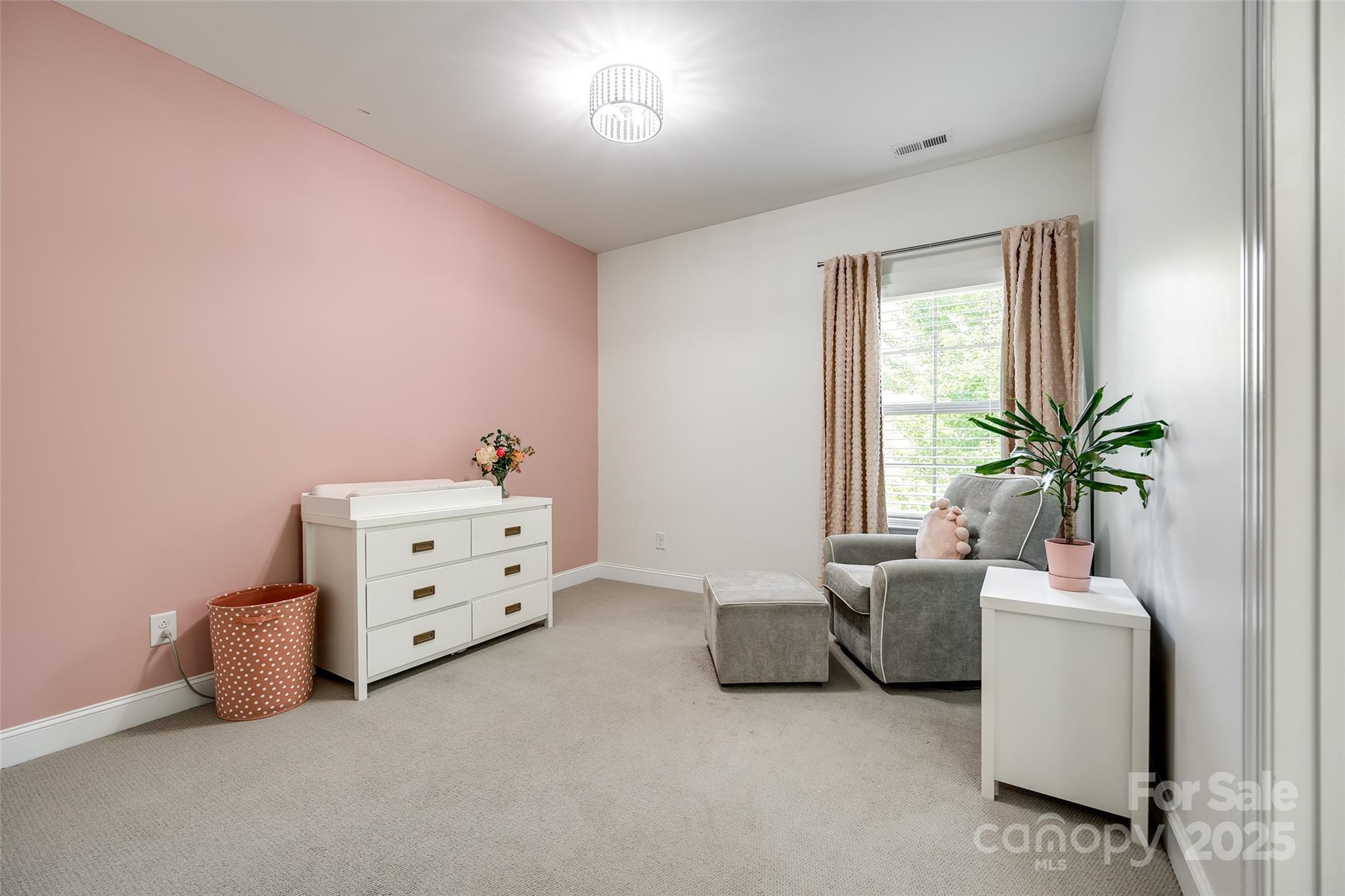 618 Chase Court Fort Mill, SC 29708 - Photo 34 of 48 a room with furniture and a potted plant