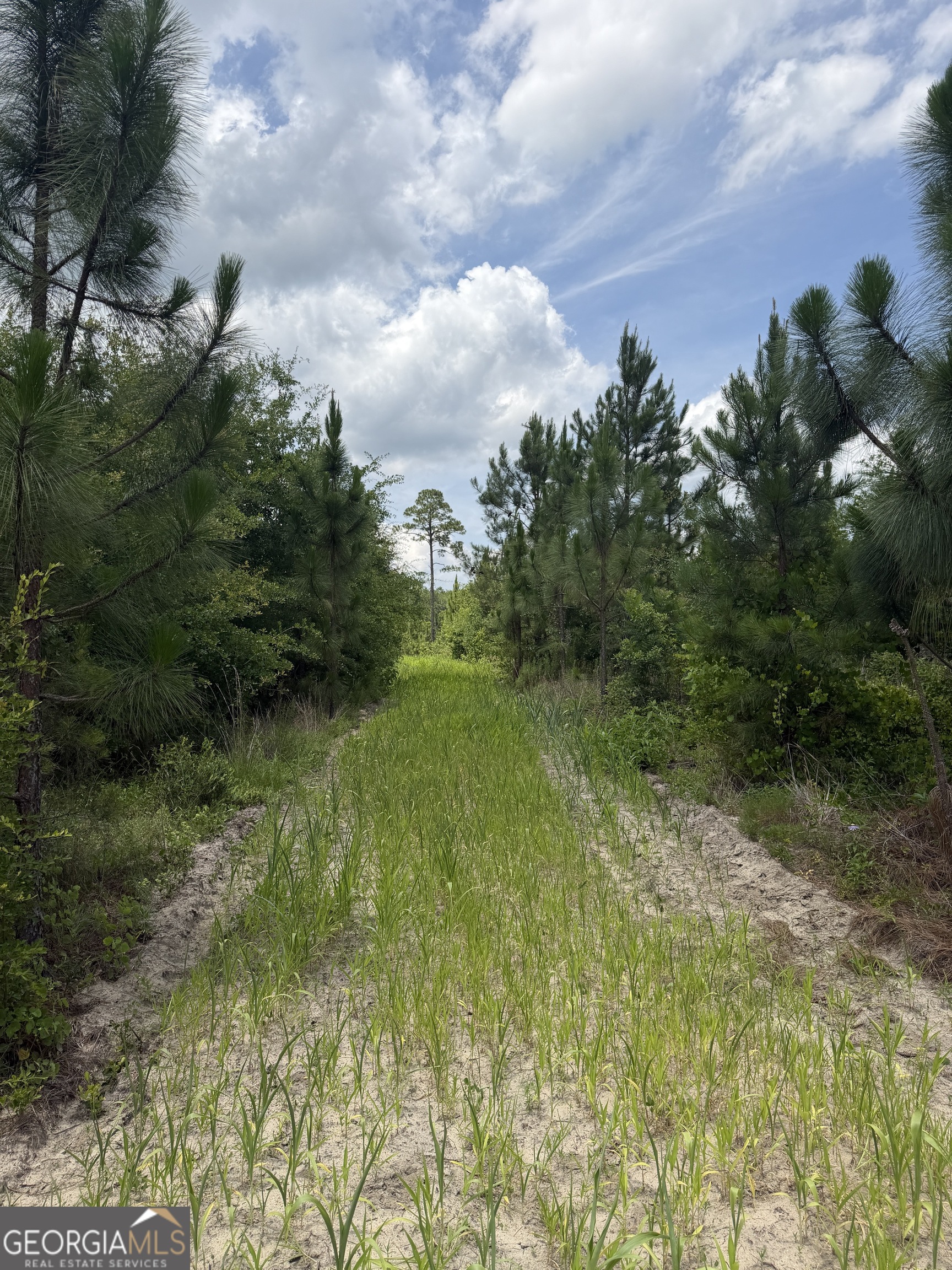 0 West River Road Rhine, GA 31077 - Photo 19 of 31