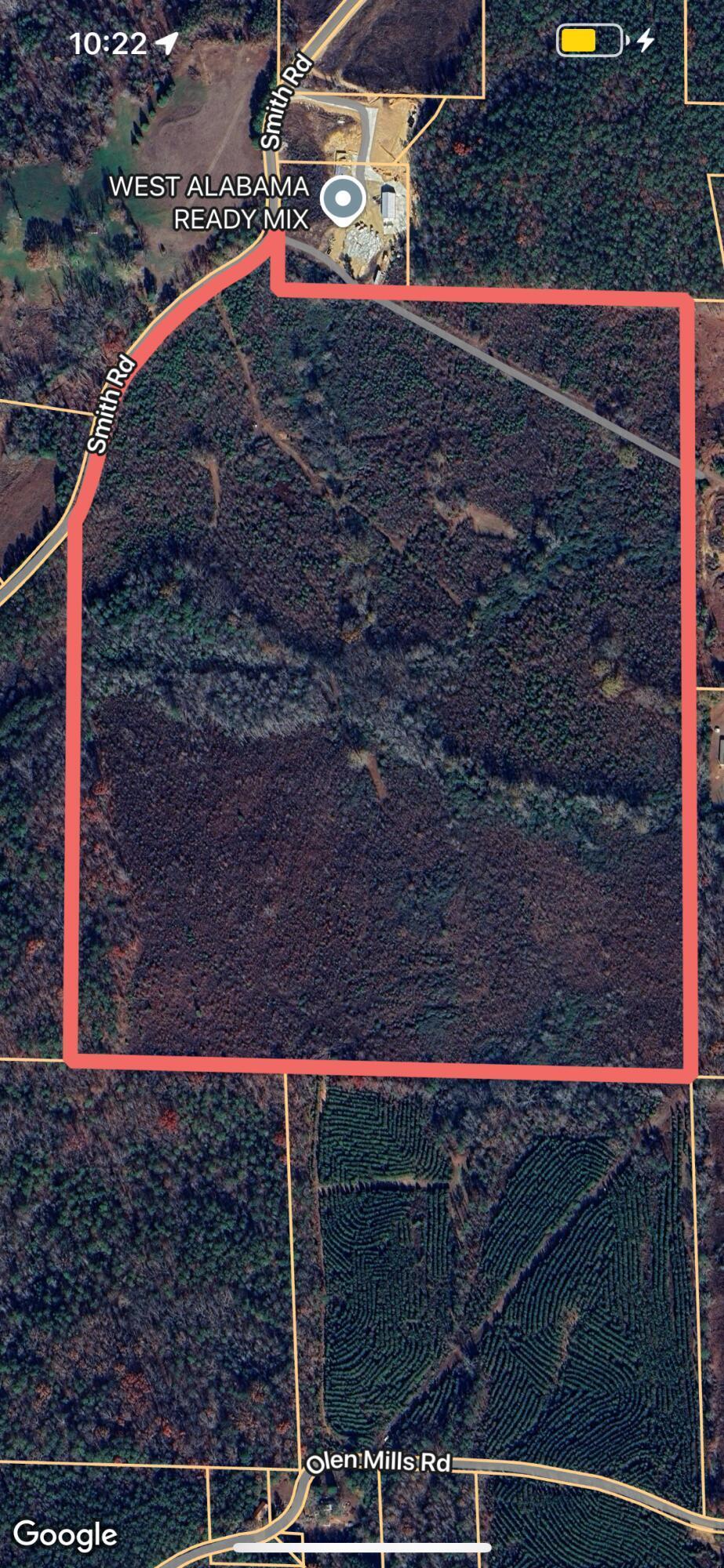 Smith Road Winfield, AL 35594 - Photo 1 of 1 IMG_1821