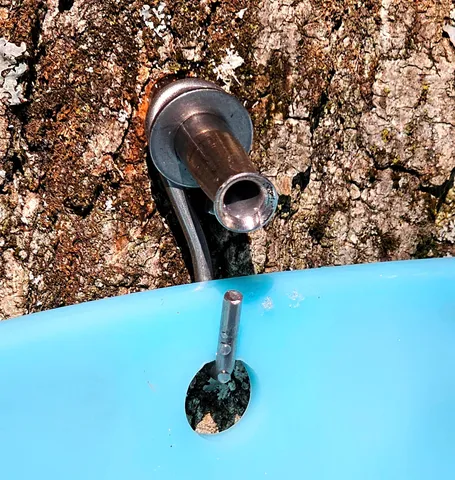 $495,000 | 3326 Mud City Loop, Morristown, VT 05661