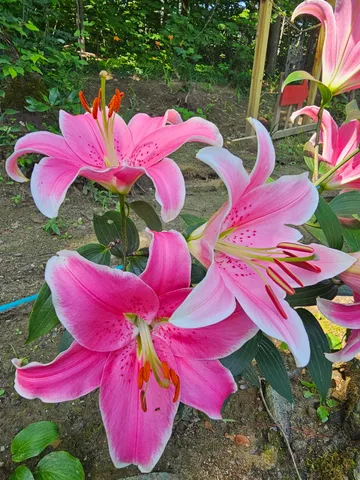 $495,000 | 3326 Mud City Loop, Morristown, VT 05661