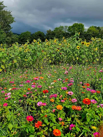 $495,000 | 3326 Mud City Loop, Morristown, VT 05661