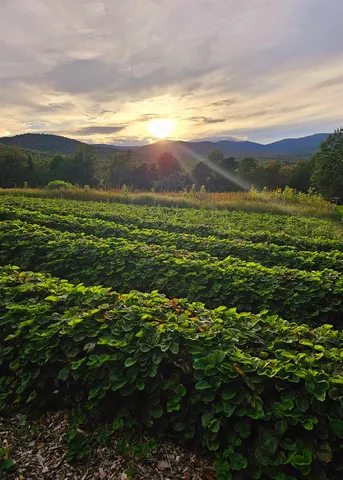 $495,000 | 3326 Mud City Loop, Morristown, VT 05661