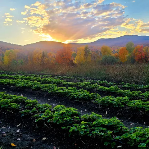 $495,000 | 3326 Mud City Loop, Morristown, VT 05661