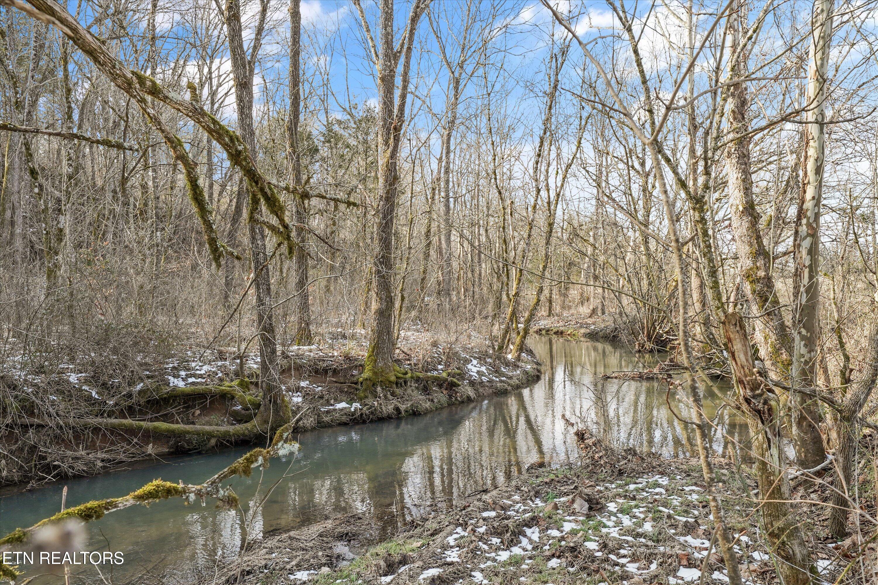 1333 Cherry Street Rutledge, TN 37861 - Photo 2 of 26 Creek