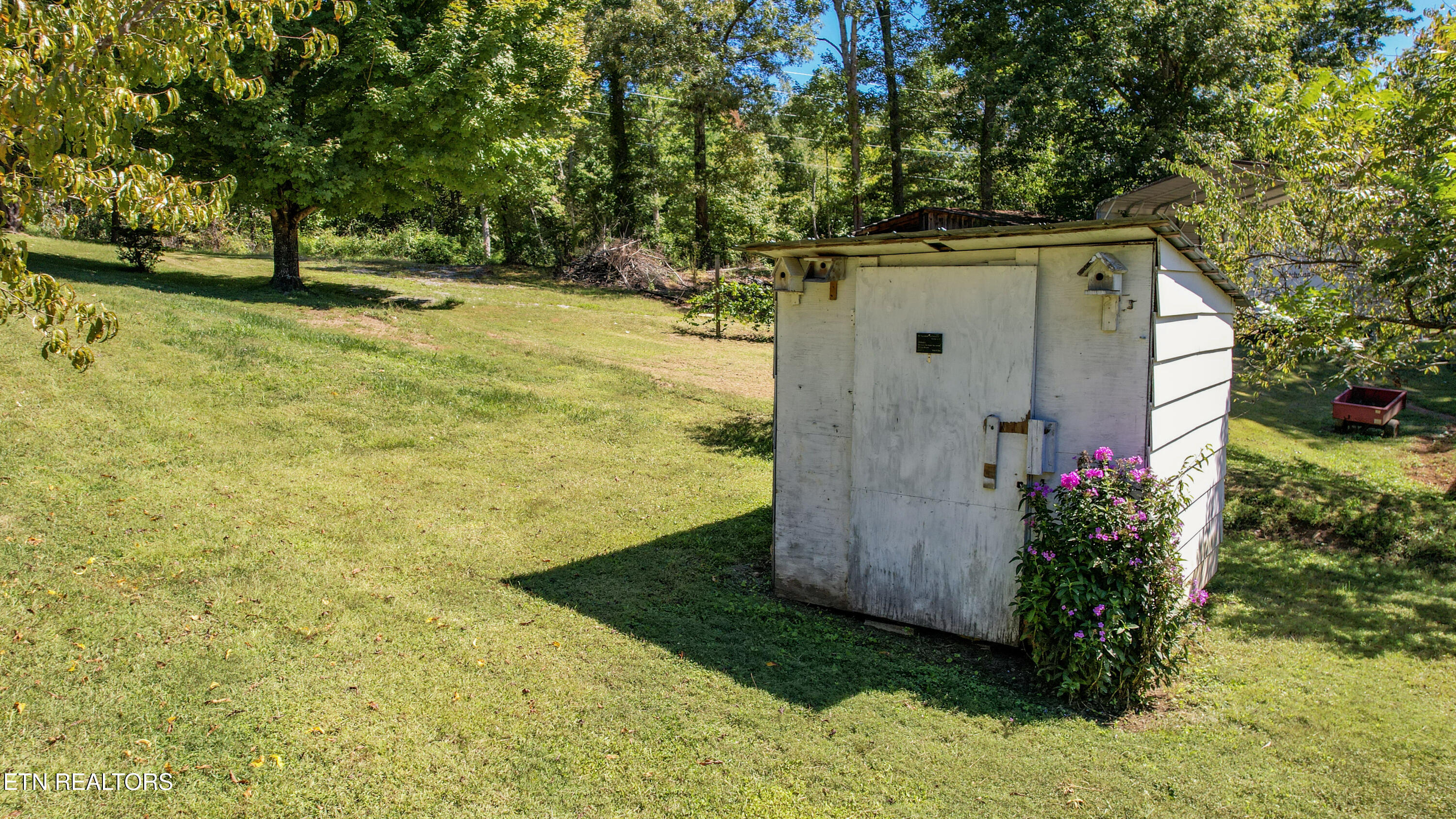 706 Shaw Mountain Road Tellico Plains, TN 37385 - Photo 48 of 60 11-DJI_0329