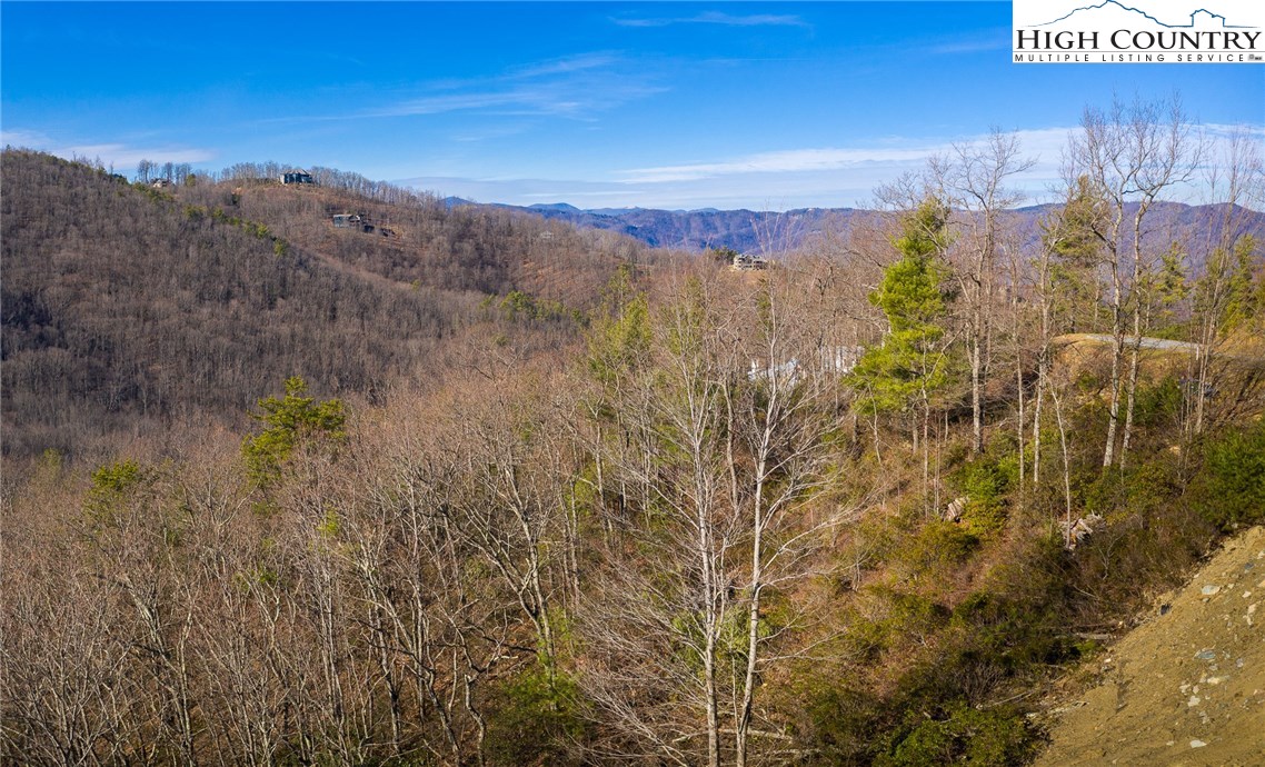 353 Pepperroot Road Boone, NC 28607 - Photo 8 of 38