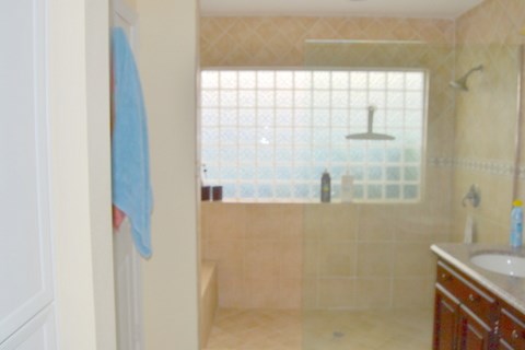 241 Lake Oaks Boulevard Coldspring, TX 77331 - Photo 6 of 16 a bathroom with a bathtub and shower