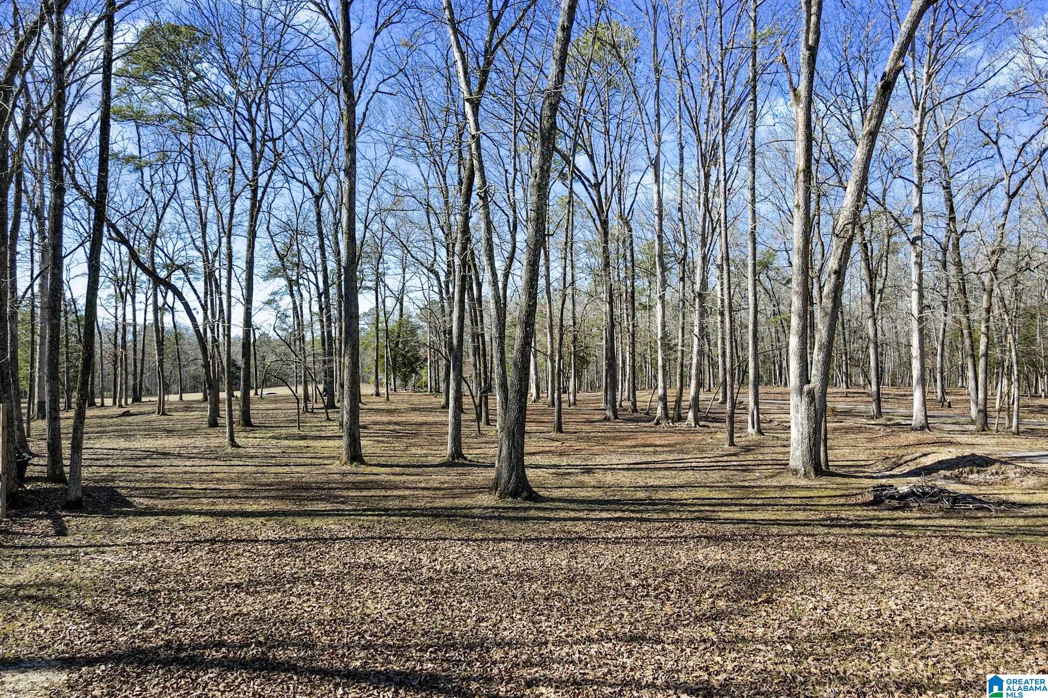 2570 South River Road Shelby, AL 35143 - Photo 12 of 78