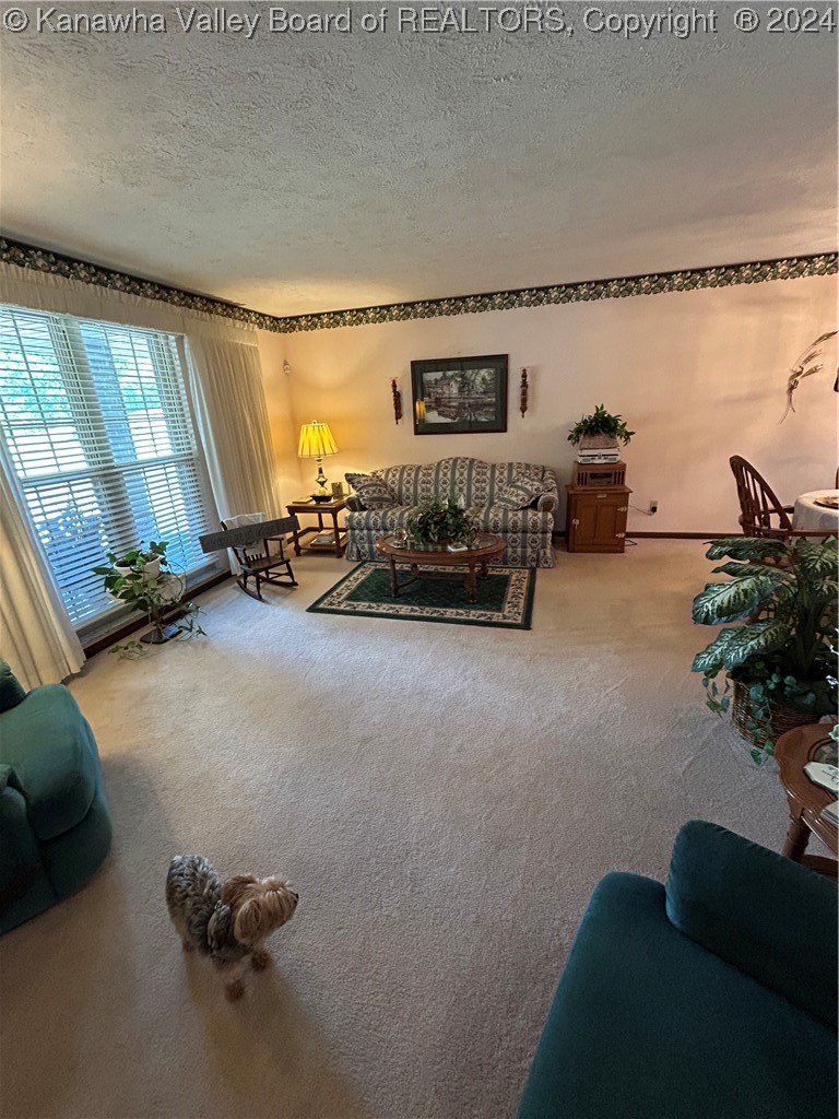 100 Teays Meadows Road Scott Depot, WV 25560 - Photo 4 of 19 Gallery Image 4
