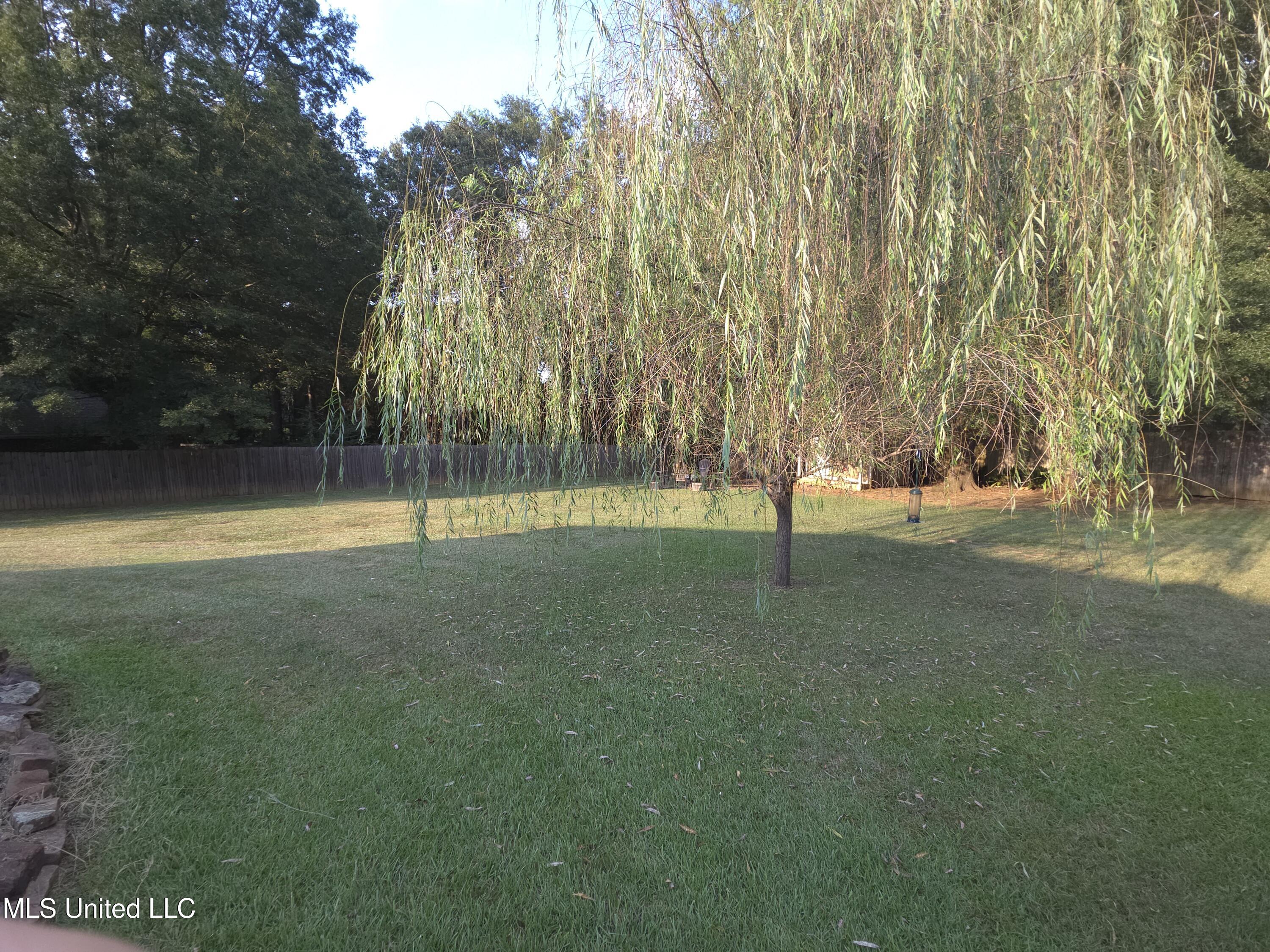 550 Pecan Boulevard Brandon, MS 39042 - Photo 28 of 30 20250827_181530