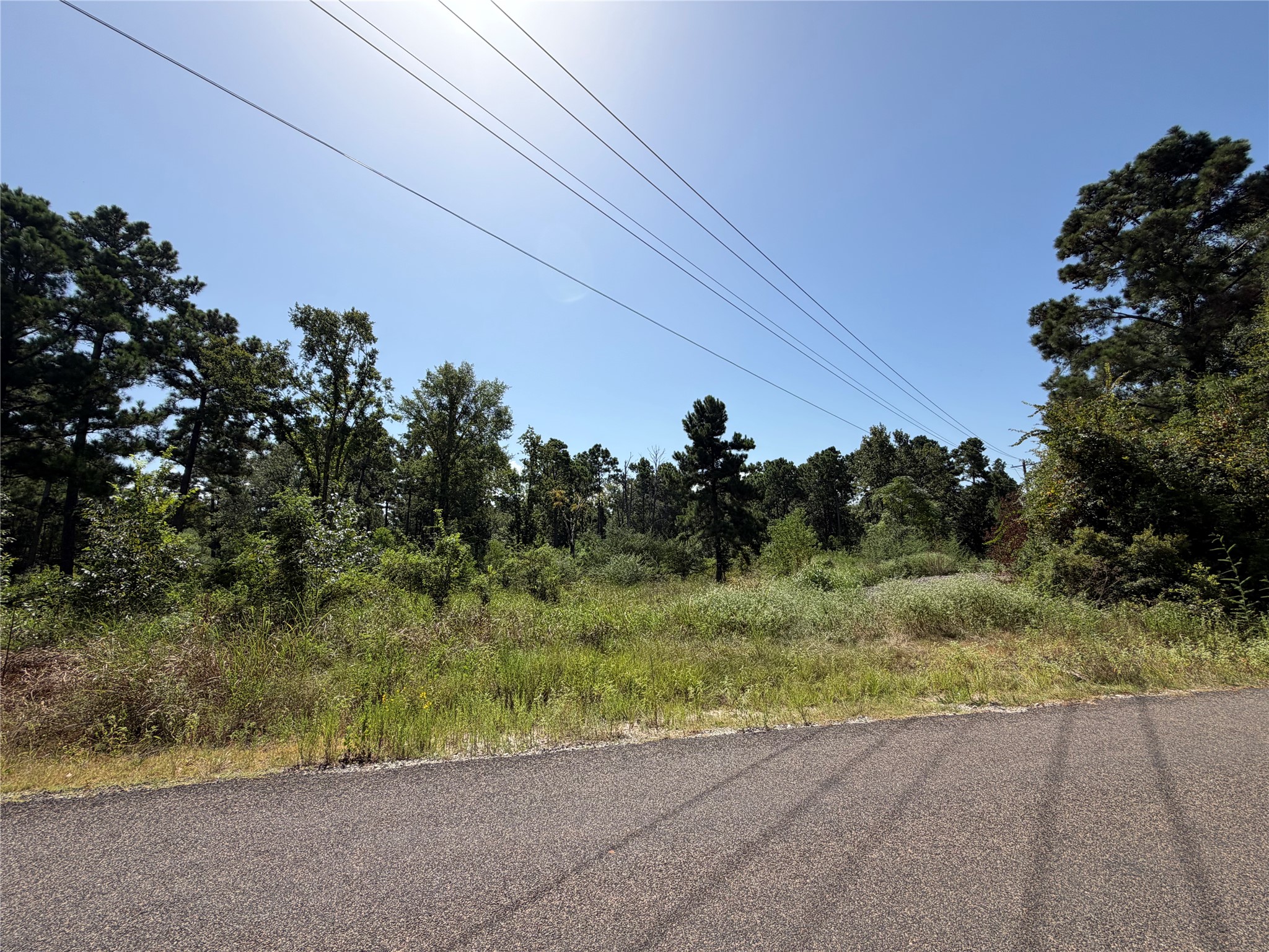 175 Hanson Road Onalaska, TX 77360 - Photo 5 of 7 Gallery Image 5