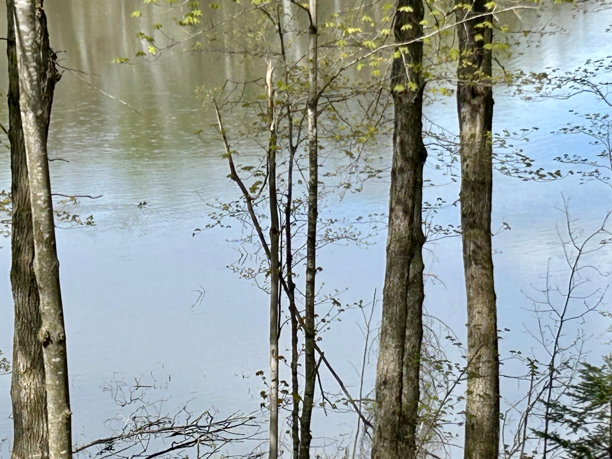 7510 Tea Lake Road Crandon, WI 54520 - Photo 29 of 34 Gallery Image 29