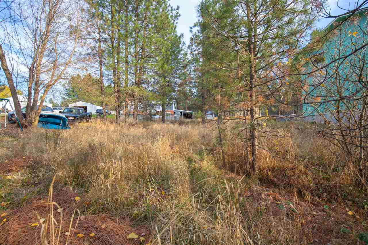 38017 North Sheets Road Elk, WA 99009 - Photo 11 of 20