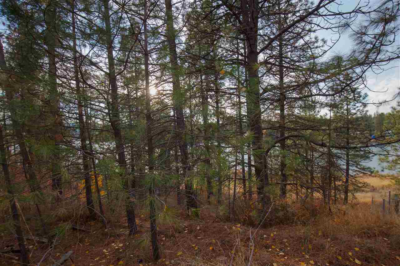 38017 North Sheets Road Elk, WA 99009 - Photo 12 of 20