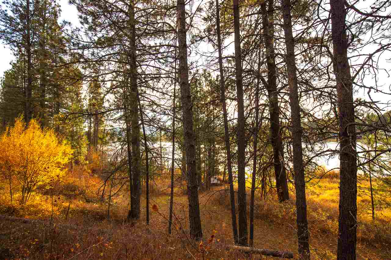 38017 North Sheets Road Elk, WA 99009 - Photo 13 of 20