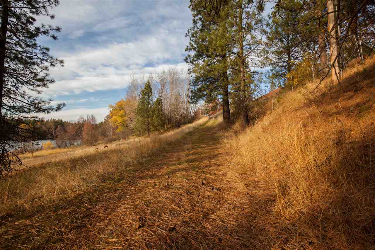 38017 North Sheets Road Elk, WA 99009 - Photo 14 of 20