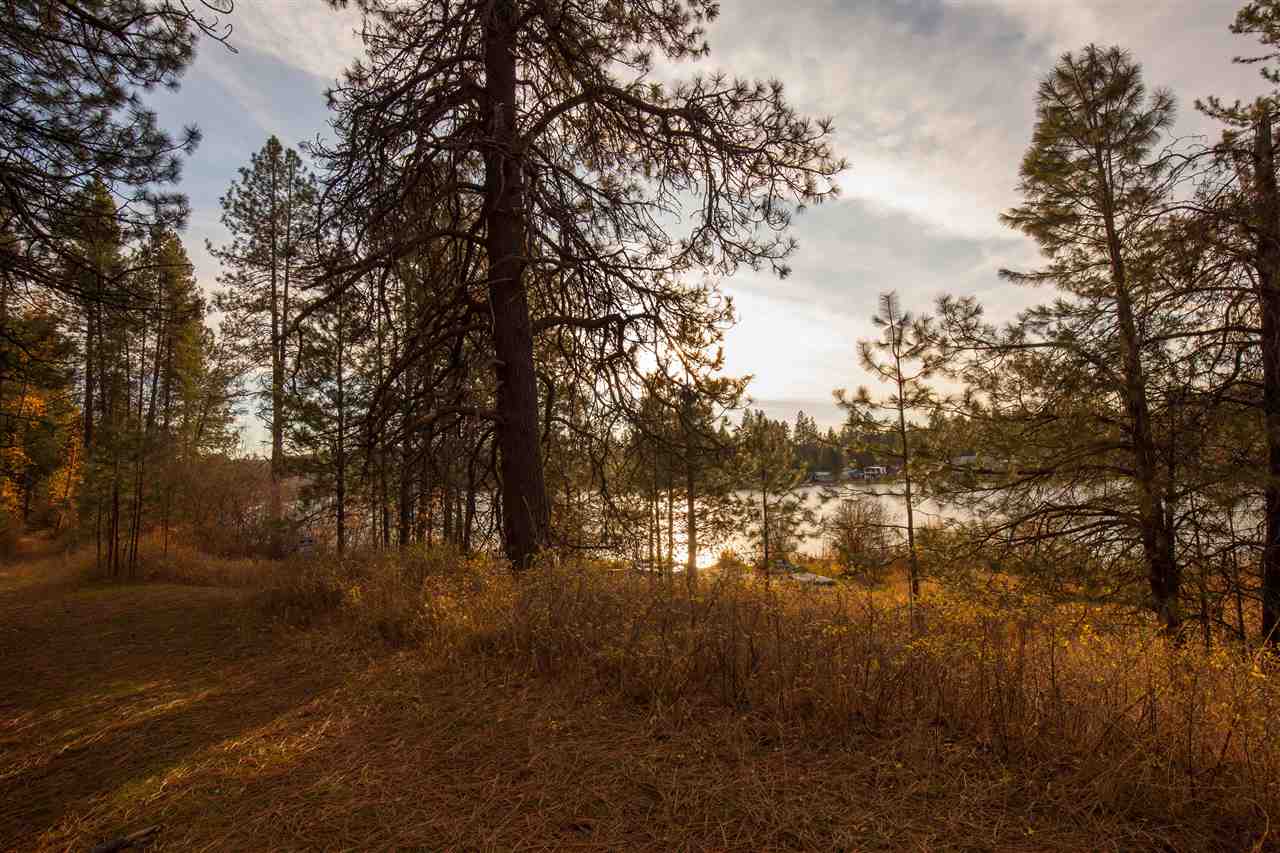 38017 North Sheets Road Elk, WA 99009 - Photo 15 of 20