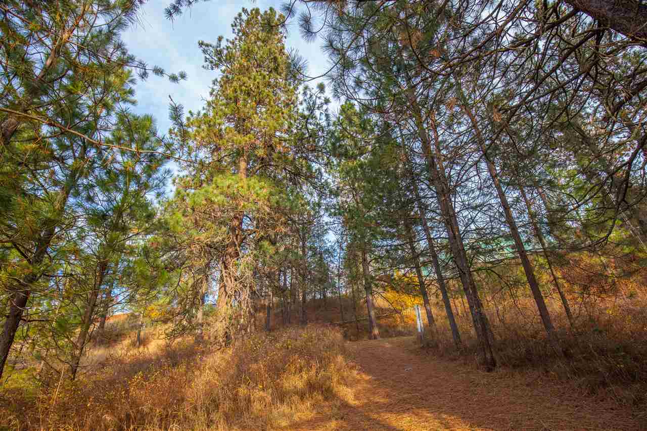 38017 North Sheets Road Elk, WA 99009 - Photo 20 of 20