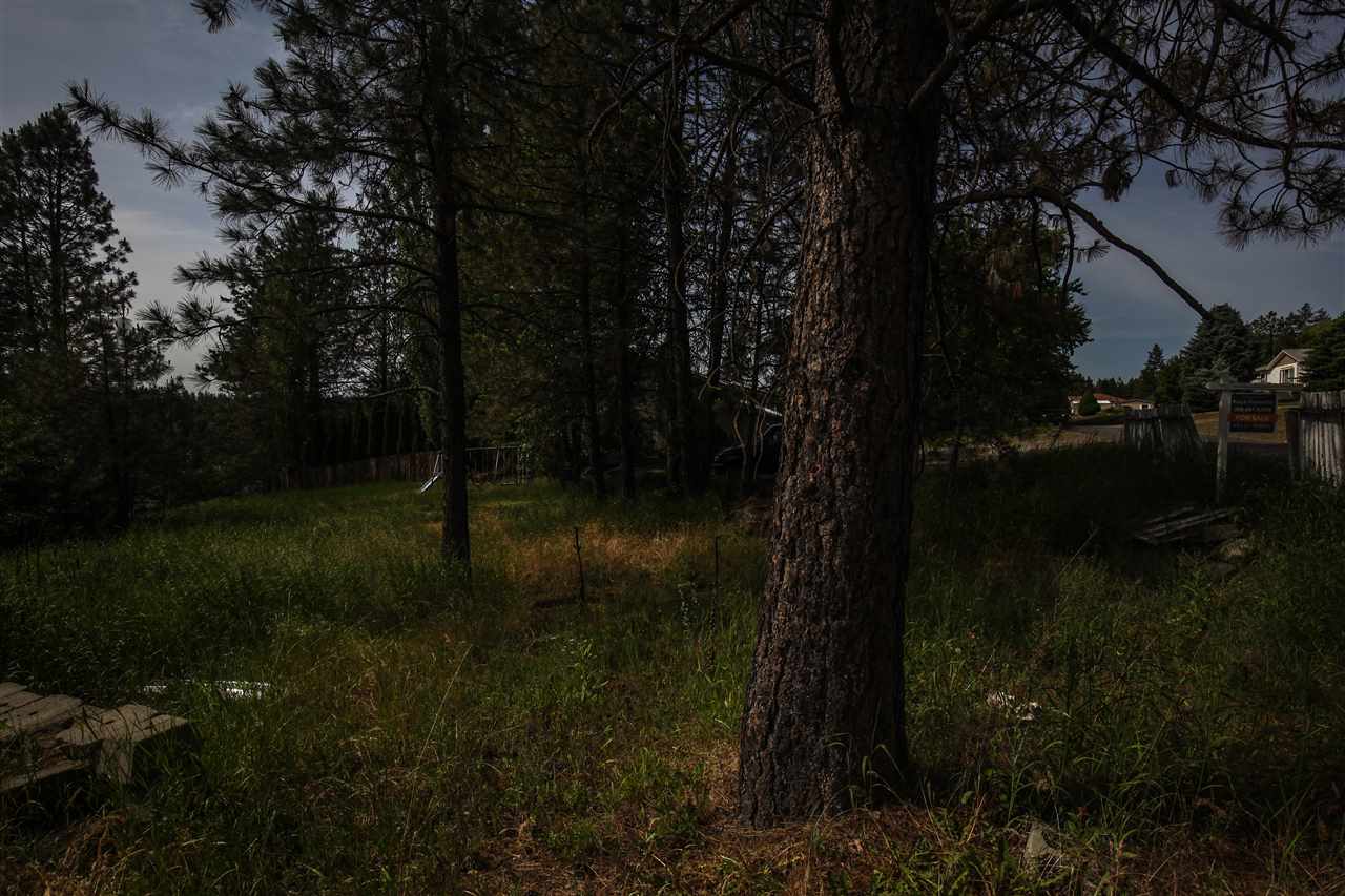 38017 North Sheets Road Elk, WA 99009 - Photo 4 of 20