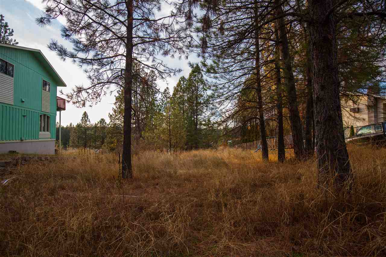 38017 North Sheets Road Elk, WA 99009 - Photo 9 of 20