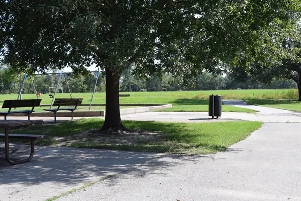 a view of a park with large trees