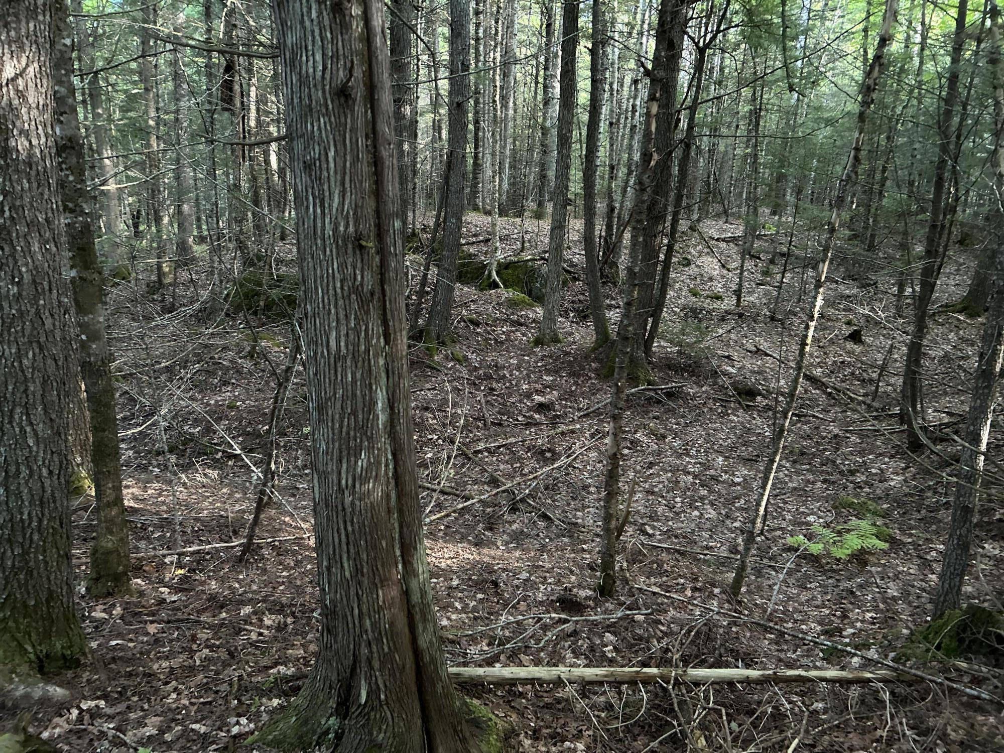 M4-l14 Village Road Jackson, ME 04921 - Photo 26 of 37