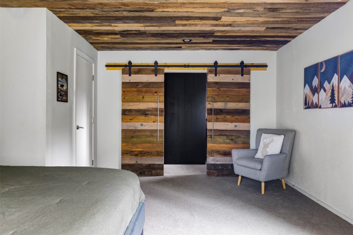 133 Gold Run Road Alma, CO 80420 - Photo 11 of 48